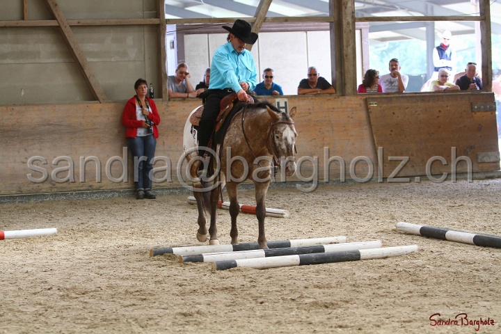 26-ApHC GT_101.jpg